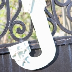 AAJP-SS-492